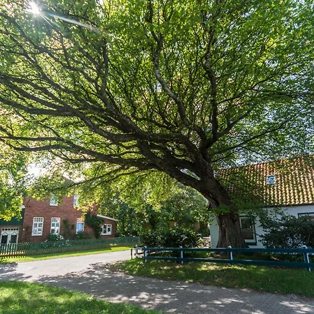 Strandhaus 2 Eg Spiekeroog