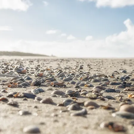 Strandhaus 2 Eg Διαμέρισμα *